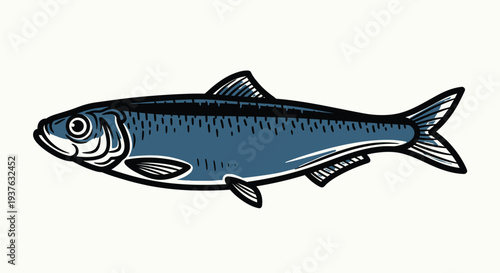 Grey and Blue Sardine Fish Illustration herring small fish