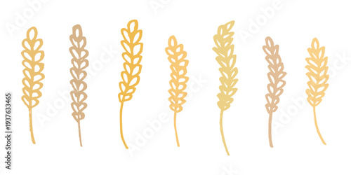 Set of hand drawn cereal wheat oat rye barley rice ears spikelet clipart Organic wheat bread agriculture farming harvest healthy food Single element for design print packaging label decor