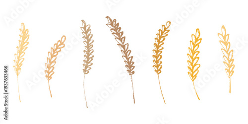 Set of hand drawn cereal wheat oat rye barley rice ears spikelet clipart Organic wheat bread agriculture farming harvest healthy food Single element for design print packaging label decor