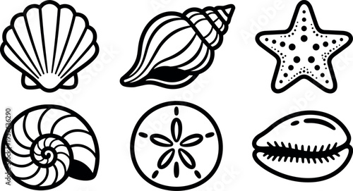 Flat line art shell icons set six coastal sea shells arranged in grid black outlines on white background minimal vector