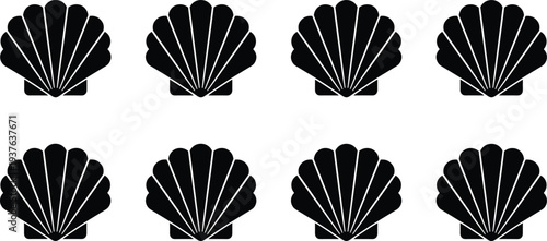 Black scallop shell on white background black white background shell symbol seafood emblem