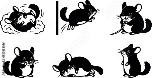 Flat vector set of six playful chinchilla silhouettes showing rolling jumping eating sleeping and standing poses with bold contrast studio