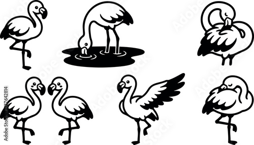 Line art flamingo set showing multiple poses feeding preening standing walking with one leg up close up wing spread illustration
