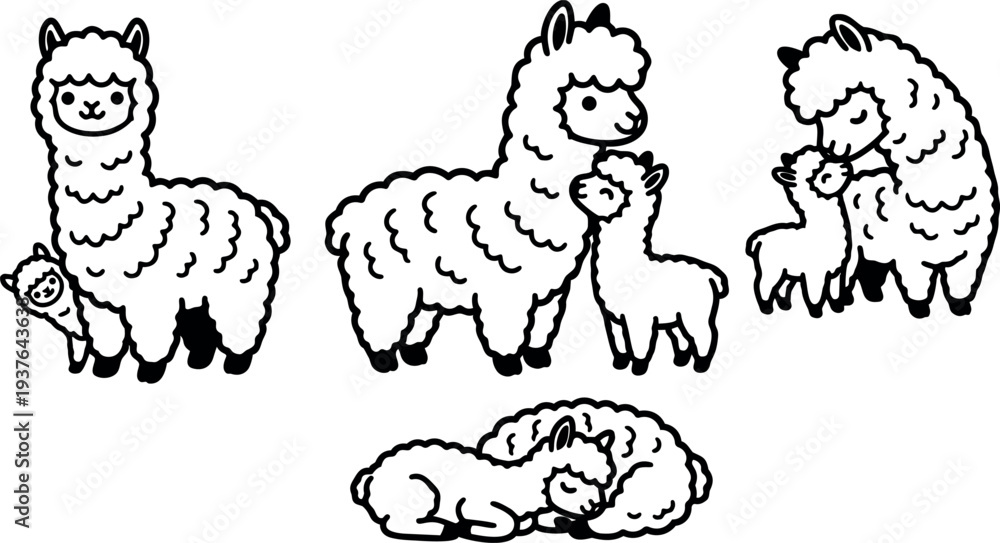 Fototapeta premium Line art adorable alpaca family in four poses mother and baby close ups playful gentle nursery illustration vector black outline