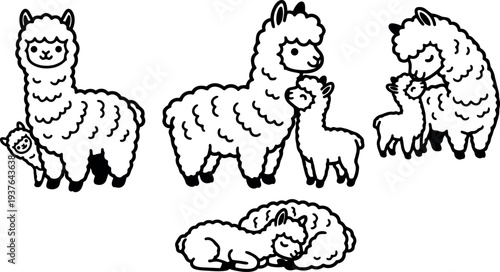 Line art adorable alpaca family in four poses mother and baby close ups playful gentle nursery illustration vector black outline