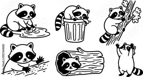 Line art playful raccoon characters in various poses washing climbing hiding in log reaching up playing sitting looking at viewer