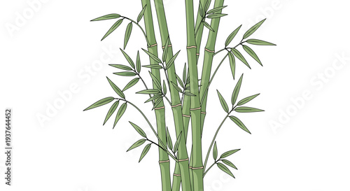 Bamboo Stems with Leaves 3.