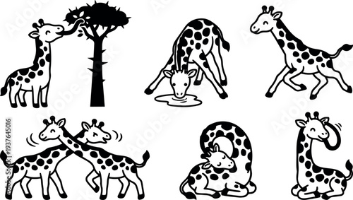 Cartoon line art playful giraffe set showing feeding drinking running nuzzling drinking and resting in simple black cute poses collection