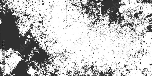 Abstract black and white grunge background featuring a floral ink pattern with paint splatters and a dirty spray texture on a decorative vector frame border