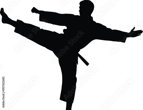 Martial arts karate fighter silhouette performing high kick, taekwondo combat training action, martial artist strength balance discipline concept