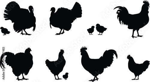 Chicken and rooster silhouette collection, farm poultry birds with chicks vector set, hen rooster illustration isolated black animal icons