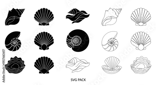 Seashell collection icons, black and white vector graphics, isolated on white background