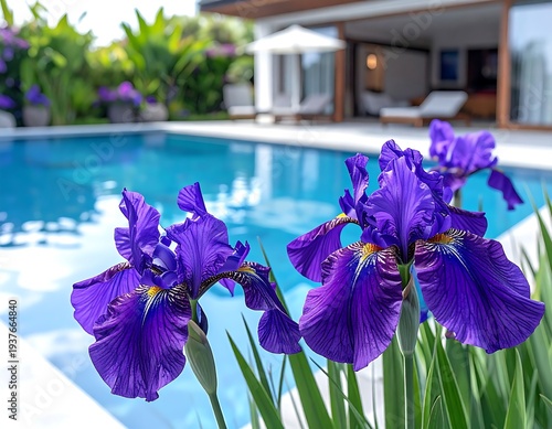 Purple iris blooms frame a tranquil poolside scene with turquoise water and lounge chairs in the background