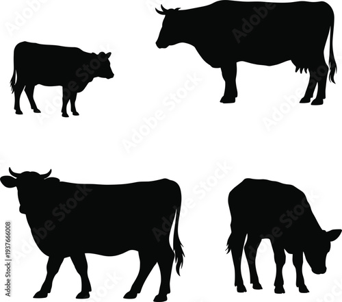 Black silhouette of cow, calf, and bull standing on white background, farm animal vector illustration collection