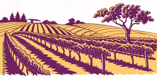 A serene vineyard landscape with rows of grapevines and a tree Vector
