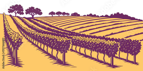 A vineyard with rows of grapevines and trees Vector