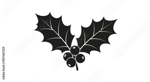 Black and white holly berry illustration for festive holiday designs
