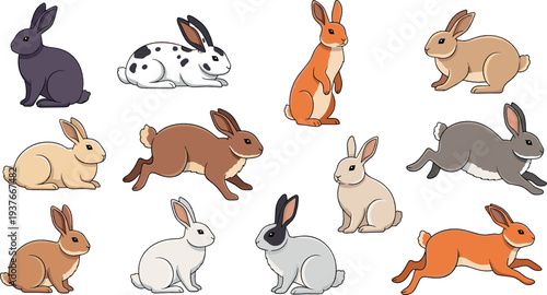 Rabbit collection flat vector illustration with different bunny breeds poses and colors isolated on background