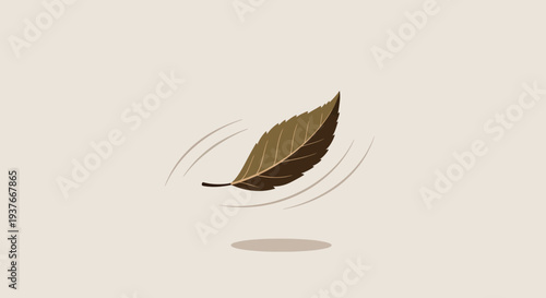 Single dark brown leaf gently falling with subtle movement lines on a bright studio light background
