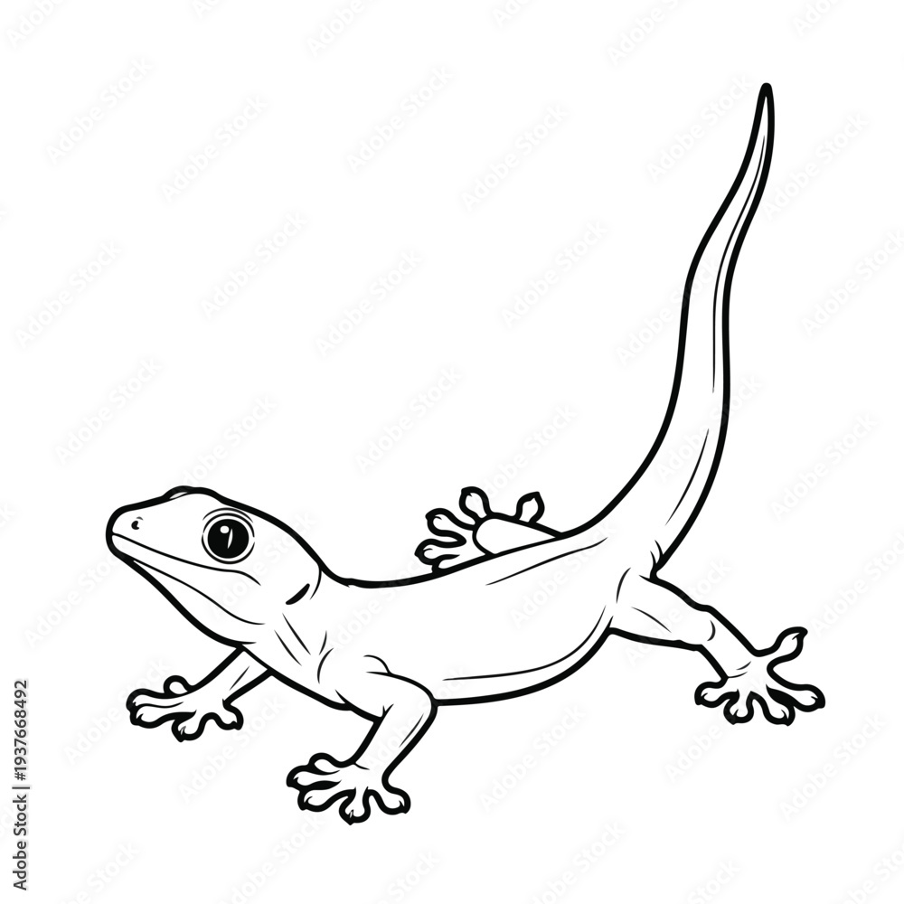 Fototapeta premium Lizard with long tail and webbed feet standing on white background