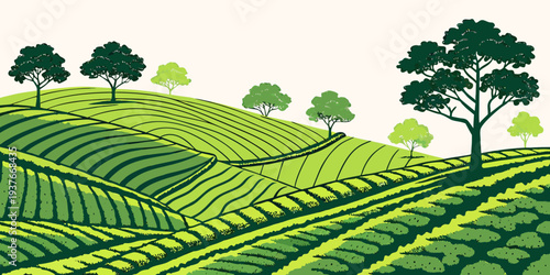 A green hillside with trees and rows of plants Vector