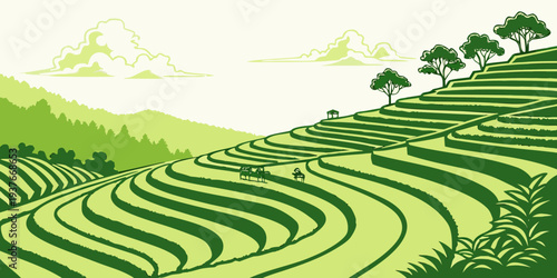 A green tea plantation on a hillside with trees Vector