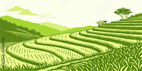A green rice field with trees on a hillside Vector
