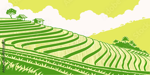 A green tea plantation on a hillside with trees and a cloudy sky Vector