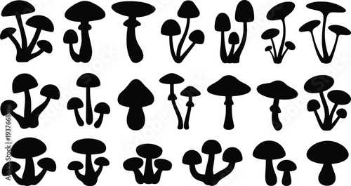 Mushroom silhouette collection, forest fungi plants vector illustration, wild nature toadstool icons isolated botanical organic design elements set