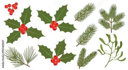 Festive holiday elements holly berries pine branches and mistletoe