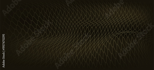 Abstract net background for sports