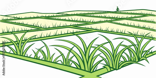 An illustration of a green grassy field with rectangular plots Vector