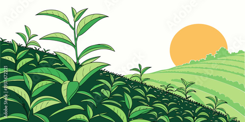 A serene landscape of a green field with a sun setting Vector