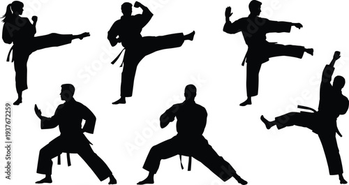 Silhouette martial arts poses, karate kicks, taekwondo stances, dynamic movement, athletic training, combat sport, discipline, strength, agility, fitness art