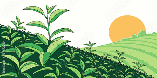A serene landscape with a sun setting over a green field and plants Vector