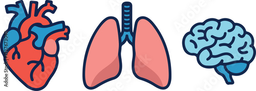 Human organ icon set with heart lungs and brain flat stylized design in red and blue on black background