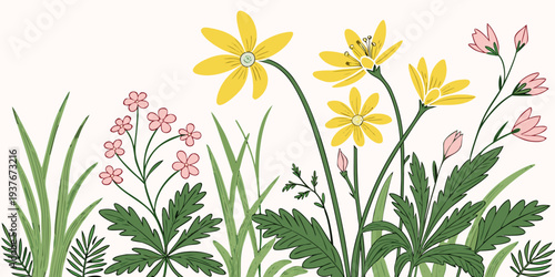 A colorful illustration of flowers and grass Vector