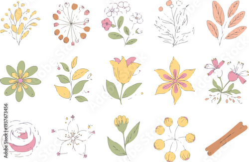Flat Hand Drawn Spices and Herbs Collection Vector Illustration for Culinary Ingredient and Food Design