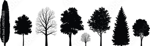 Silhouette trees collection, diverse foliage shapes, coniferous and deciduous, nature art, landscape design, environmental science, botanical study, outdoor illustration