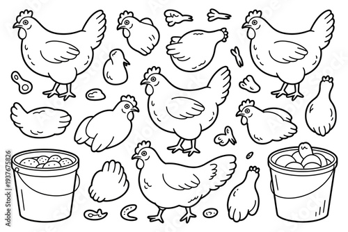 Chicken vector illustration set with buckets and eggs in farm scene