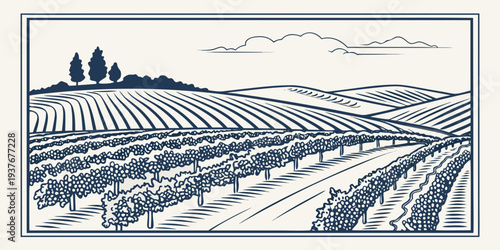 A blue and white drawing of a vineyard landscape Vector