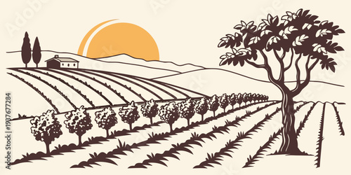 Oxen plowing a field at sunset Vector