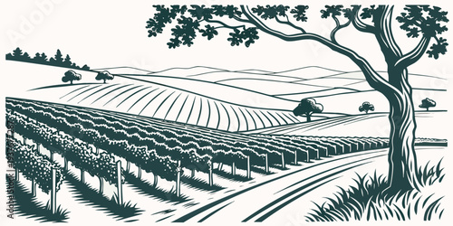 A green and white drawing of a vineyard with a tree Vector