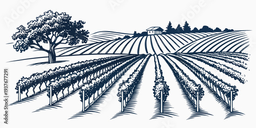 Workers in a vineyard with a tree Vector