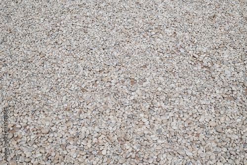 Photography Closeup stone floor for background