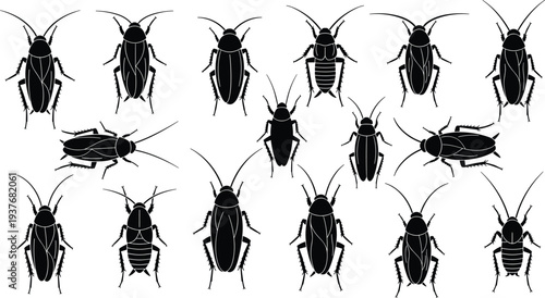 Collection of cockroach silhouettes, black insect pest icons, house bug infestation symbols, creepy crawly beetle vector illustration, wildlife pest control.