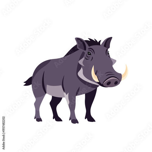 Warthog standing isolated on white background looking sideways