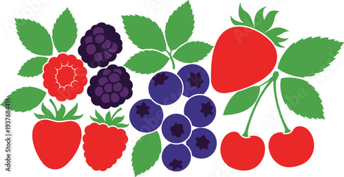 Colorful illustration of strawberries, raspberries, blackberries, blueberries, and cherries with green leaves, decorative vector design for nutrition, gardening, and educational themes