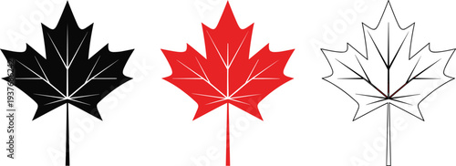 Set of black red and outline maple leaf icons isolated vector illustration Canadian symbol autumn foliage design