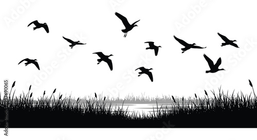 A flock of birds in flight over a tranquil marsh landscape presented as a silhouette high quality professional
